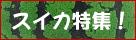 �X�C�J