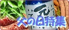 ���̓����W