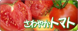 �g�}�g