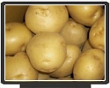 �Ƃ�݂Ђ�