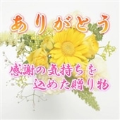 ��̓�&���̓��̑��蕨��