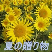 �Ă̑��蕨