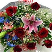 �����̓��M�t�g��
