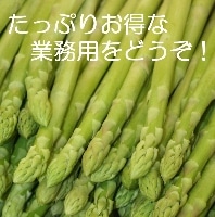 ¡Ú»ºÃÏľÁ÷£Ê£Á¥¿¥¦¥ó¡Û¶È̳ÍÑ