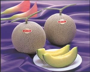 �{�̖�؁E�ʕ�
