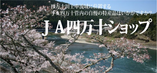 �i�`�l���\