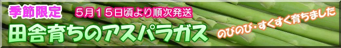 �c�Ɉ炿�̃A�X�p���K�X