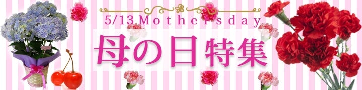 2018年母の日ギフト