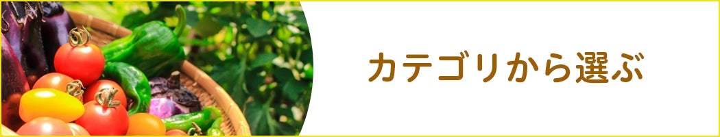 カテゴリから選ぶ