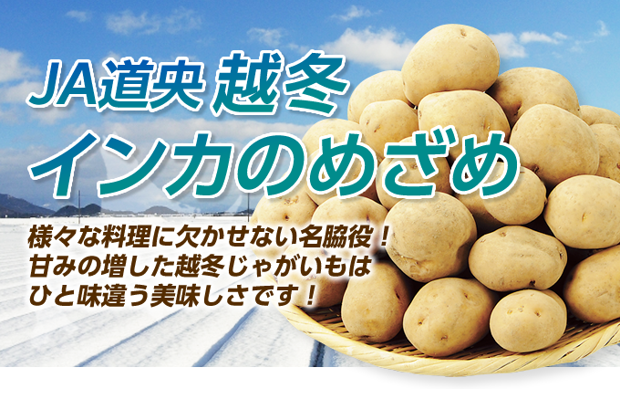 “越冬"