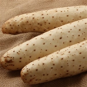 ＜産地直送JAタウン＞ 北の豆讃歌 ８個入り