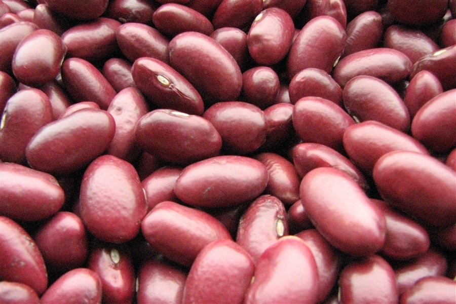 ＜産地直送JAタウン＞ 北の豆讃歌 ８個入り