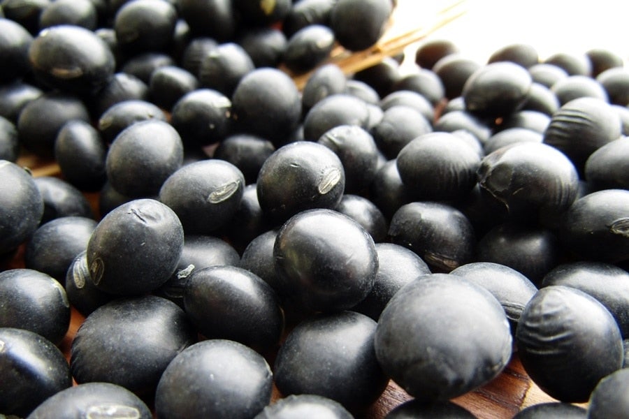 ＜産地直送JAタウン＞ 北の豆讃歌 ８個入り