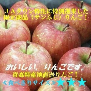 ＜産地直送JAタウン＞ 【家庭用】 黒石りんご『サンふじ』 約５ｋｇ
