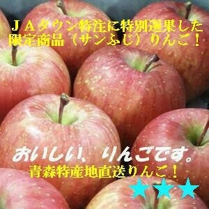 ＜産地直送JAタウン＞ 【家庭用】 黒石りんご『サンふじ』 約５ｋｇ画像