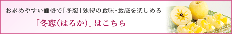 冬恋はこちら