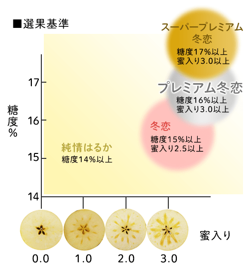 表