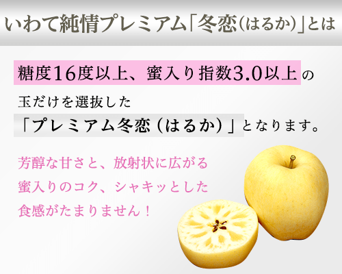 「岩手純情プレミアム冬恋(はるか)」とは 糖度16度以上、蜜入り指数3.0以上の 玉だけを選抜し「いわて純情プレミアム冬恋」として販売しております。芳醇な甘さと、放射状に広がる蜜入りのコク、シャキッとした食感がたまらないです。