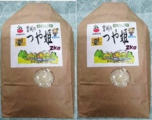 JAあさひな 特別栽培米つや姫 2kg×2 平成28年産