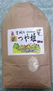 JAあさひな 特別栽培米つや姫 5kg 平成28年産
