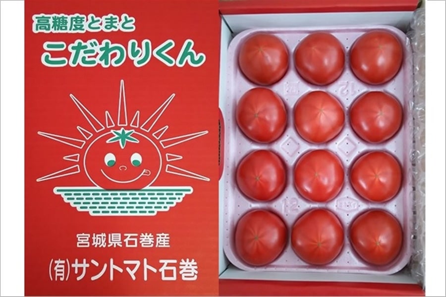 ＜産地直送JAタウン＞ 高糖度トマト『こだわりくん』９〜１６玉（約１ｋｇ）