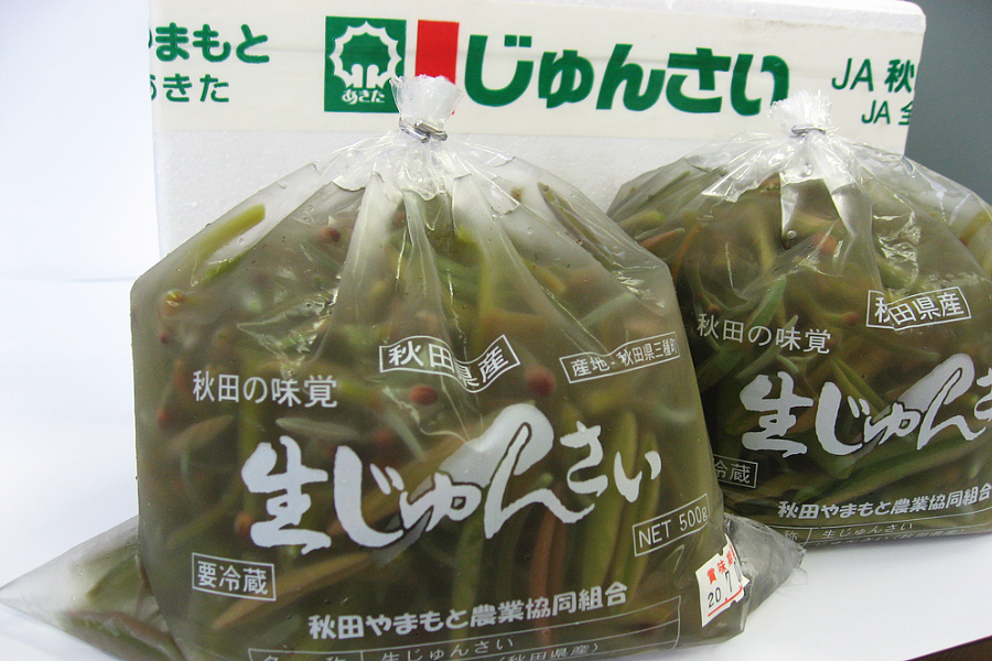 生じゅんさい (500g×2袋)×2セット