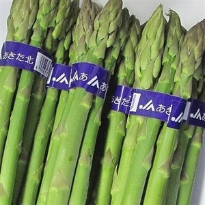 アスパラガス 100g×10束 (JAあきた北)