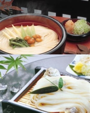 稲庭城下うどん 化粧紙箱 160g×6袋