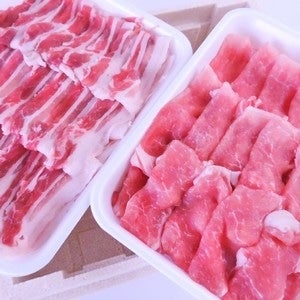 ＜産地直送JAタウン＞ 【家庭用】 黒石りんご『サンふじ』 約５ｋｇ