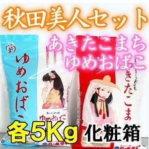 ＜産地直送JAタウン＞ 【秋田県産】 秋田美人セット（あきたこまち５ｋｇ×ゆめおばこ５ｋｇ）化粧箱画像