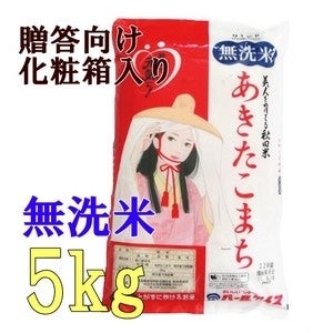 ＜産地直送JAタウン＞ 【特別栽培米】江刺金札米ひとめぼれ・パック米【5kg×1袋】災害備蓄にも最適！