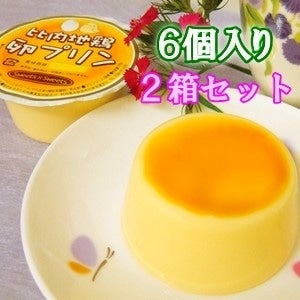 ＜産地直送JAタウン＞ 天然のうまみ！しょっつる（２びんセット）×２箱