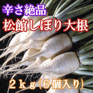 ＜産地直送JAタウン＞ 林檎の詩♪ ５ｋｇ（ふじ１６個）