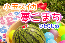 ★夢こまち★『小玉スイカ(ひとりじめ7・EX)』(2L・2玉)
