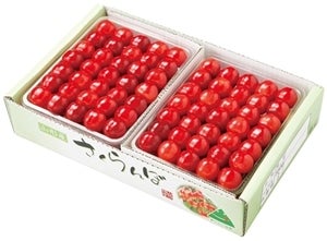 さくらんぼ佐藤錦(700g手詰) 6月下旬〜7月上旬