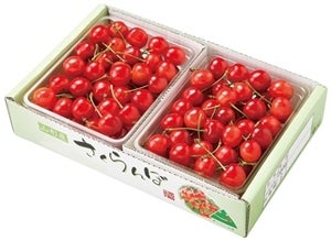 さくらんぼ佐藤錦(700gバラ詰) 6月下旬〜7月上旬