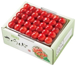 さくらんぼ佐藤錦(500g手詰) 6月下旬〜7月上旬