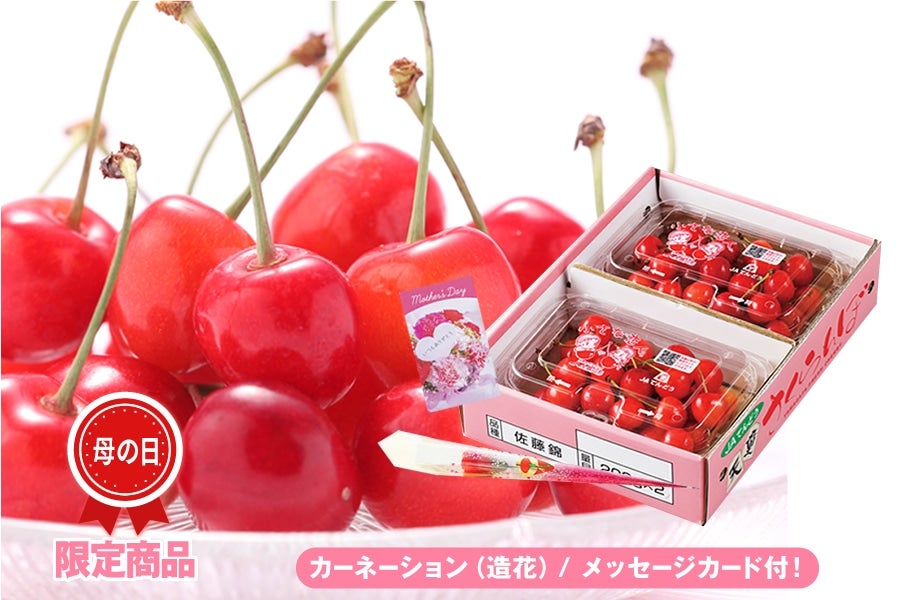 母の日 ハウスさくらんぼ フードパック 2P