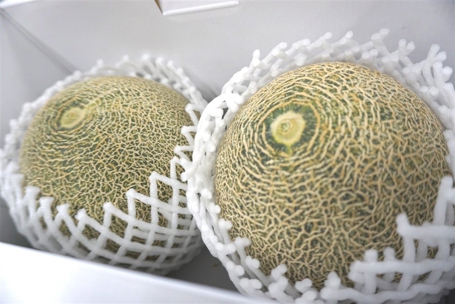クインシーメロン (化粧箱/秀品2Lサイズ2玉) JAはが野産