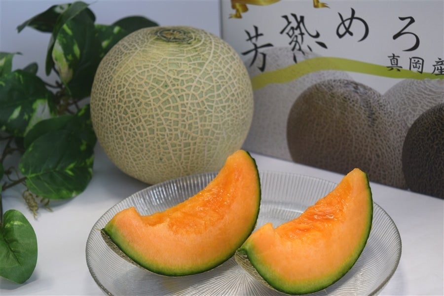 クインシーメロン (化粧箱/秀品2Lサイズ2玉) JAはが野産