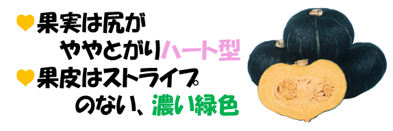 果実は尻がややとがりハート型果皮はストライプのない、濃い緑色