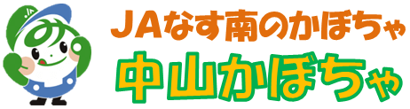 中山かぼちゃ登場!