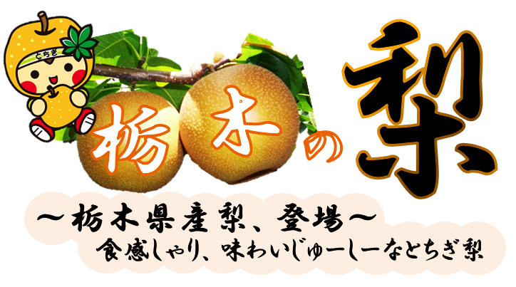 とちぎの梨