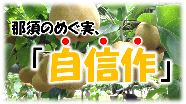 栃木県JAなすの産豊水梨