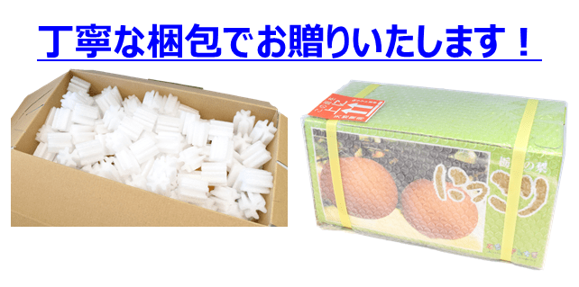 丁寧な梱包でお贈りいたします!
