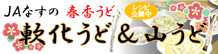 JAなすの春香うど「軟化うど&山うど」