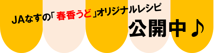 レシピ公開中
