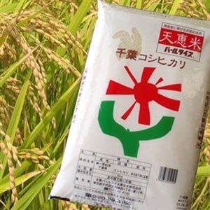 ＜産地直送JAタウン＞ （無洗米)庄内米はえぬき（10kg）