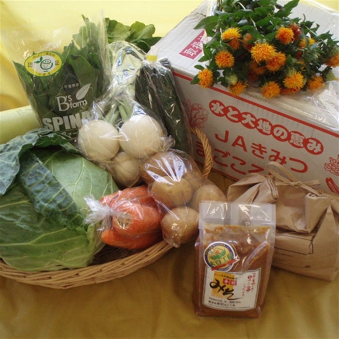 ＜産地直送JAタウン＞ 【ＫＵＳ-40】稲庭城下うどん【秋田杉木箱】 （160g×6袋・麺つゆ）