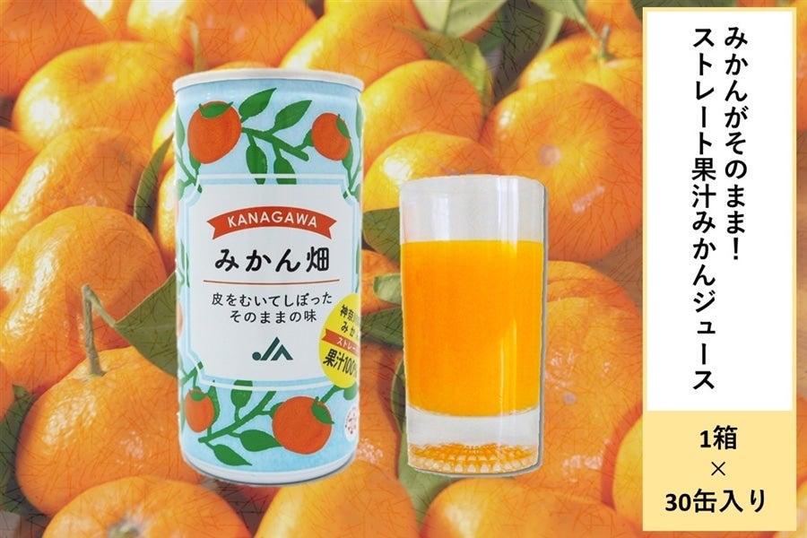 ＜産地直送JAタウン＞ 「カネナカ〜志賀アグリパーク〜」リンゴジュース